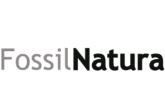 fossil-natura-Lodicon-Materiales-de-construccion